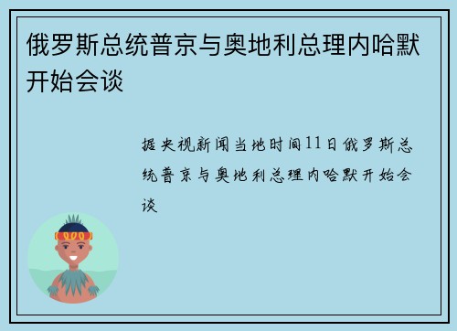 俄罗斯总统普京与奥地利总理内哈默开始会谈